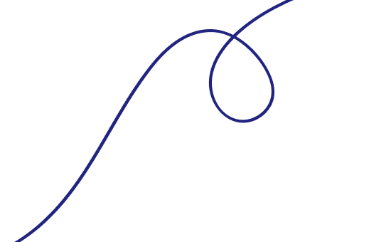 Biz Fin Tax