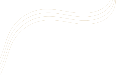 Biz Fin Tax