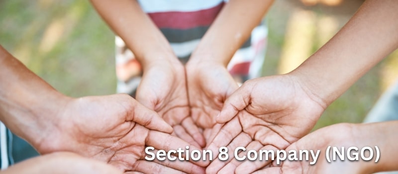Section 8 Company (NGO)