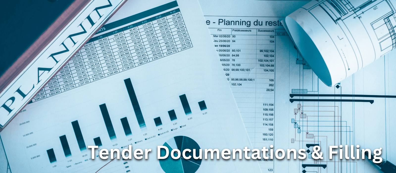 Tender Documentations