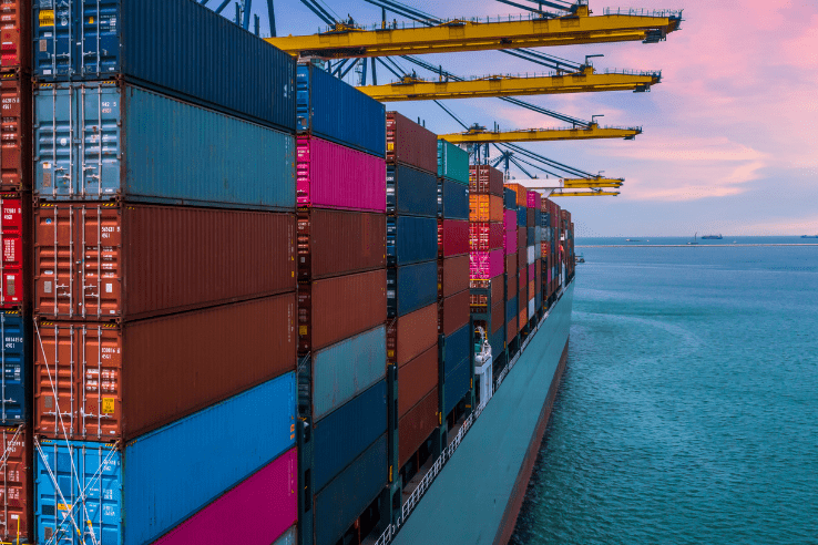 Import Export Code (IEC)